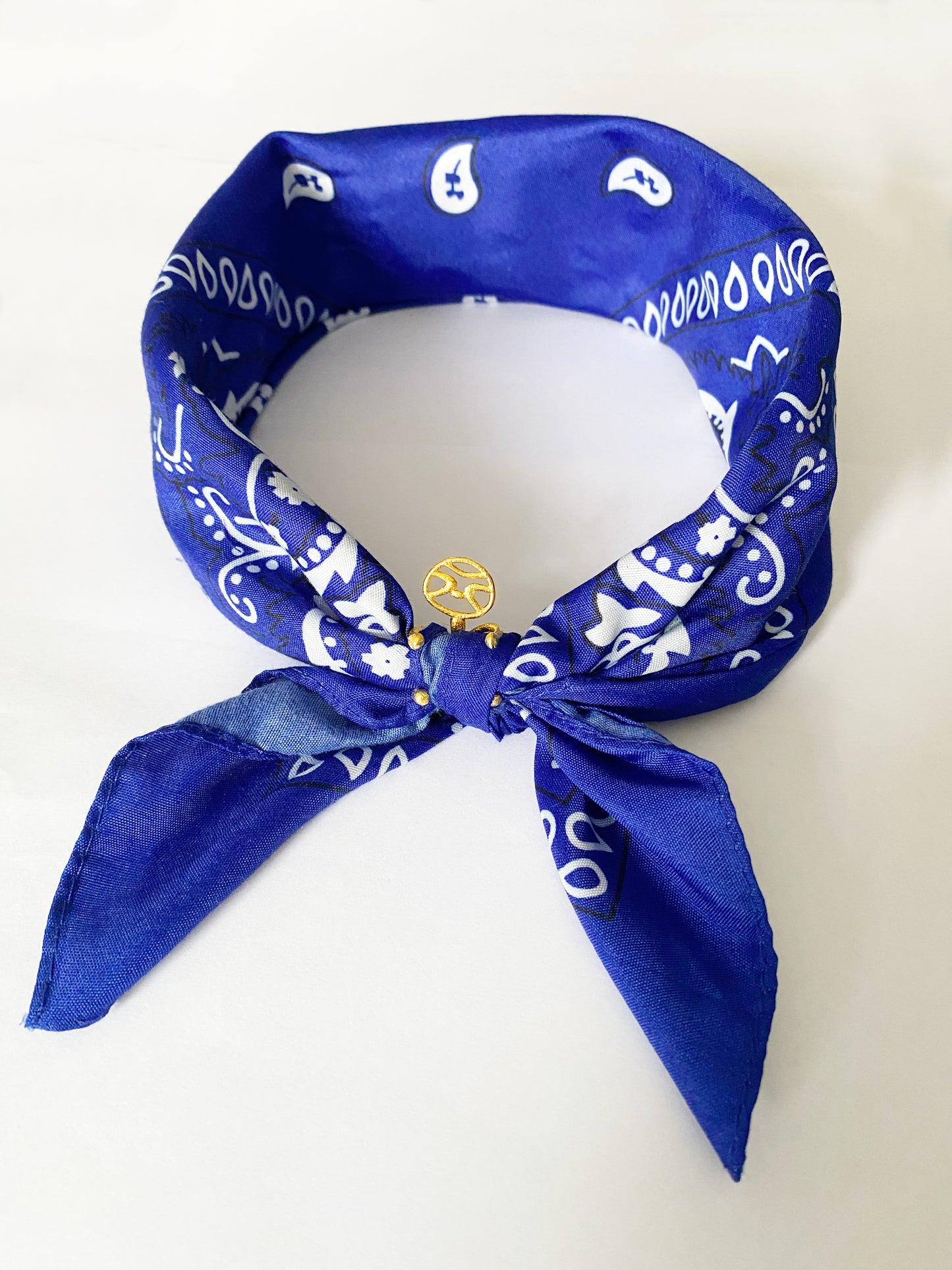 Dije Sloth Abraza Bandana - Mi tienda