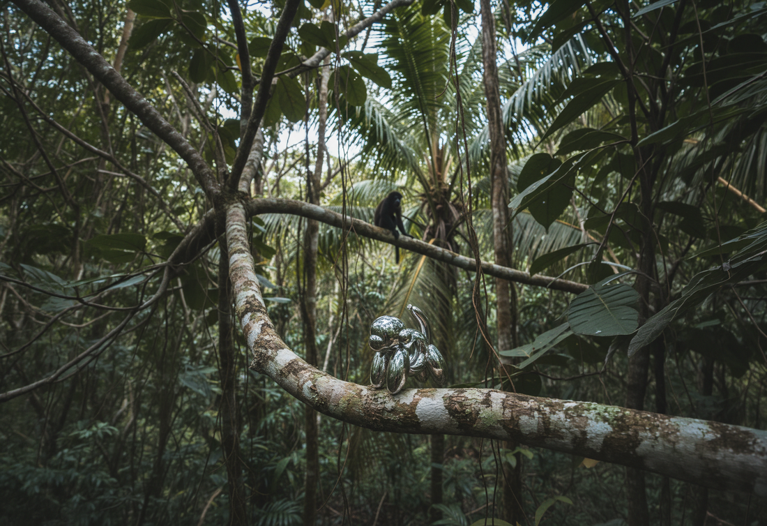 The Monkey Who Makes Herself Known — Manuel Antonio, Costa Rica